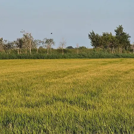 Masos Bruguera - Llambrich *