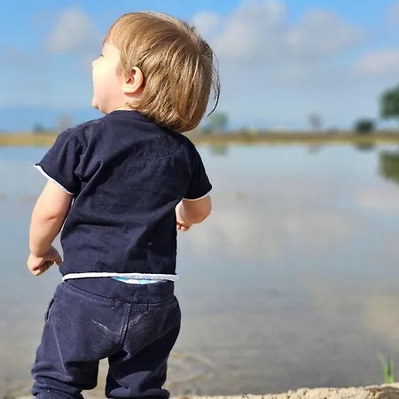 Masos Bruguera - Llambrich * Deltebre