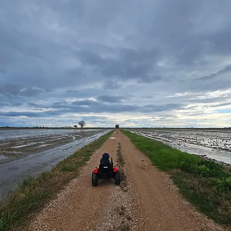 Masos Bruguera - Llambrich *